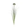 5 Stems Of Allium Grass Spray - Damson