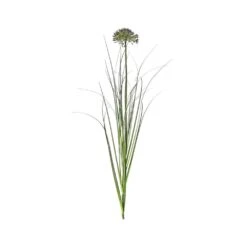 5 Stems Of Allium Grass Spray - Damson