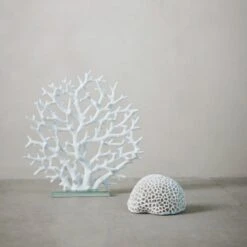 Coral Ornament - White 9 Coral Ornament - White -Home Decor Store coral ornament white p7685 123919 image