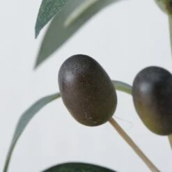 Decorative Olive Tree In Pot -Home Decor Store decorative olive tree in pot p8805 134160 image