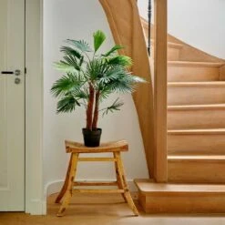 Fan Finger Palm Plant In Pot -Home Decor Store fan finger palm plant in pot p7799 128087 image