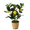 Faux Lemon Plant In Terracotta Pot 2 Faux Lemon Plant In Terracotta Pot -Home Decor Store faux lemon plant in terracotta pot p5054 106550 image