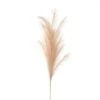 HI Faux Pampas Grass Stem - Large -Home Decor Store faux pampas grass stem large p4599 102618 image