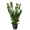 Faux Zanzibar Gem Plant In Pot 2 Faux Zanzibar Gem Plant In Pot -Home Decor Store faux zanzibar gem plant in pot p8826 134093 image