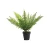 Fern In Pot 2 1 Fern In Pot 2 -Home Decor Store fern in pot 2 p1069 1764 image