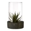 Fiori Large Succulent Black Stone Base -Home Decor Store fiori large succulent black stone base p7471 123850 image