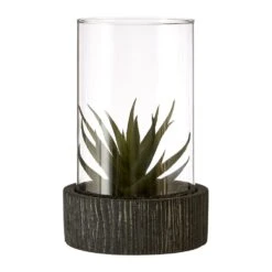 Fiori Large Succulent Black Stone Base