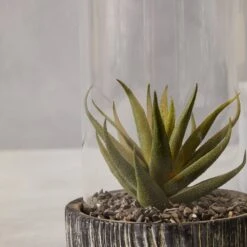 Fiori Large Succulent Black Stone Base -Home Decor Store fiori large succulent black stone base p7471 123852 image