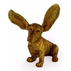 Gold Surprised Basset