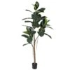 Green Rubber Tree In Black Plastic Pot -Home Decor Store green rubber tree in black plastic pot p9540 140572 image