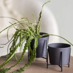 Ilse Black Metal Flowerpot - Set Of 2 6 Ilse Black Metal Flowerpot - Set Of 2 -Home Decor Store ilse black metal flowerpot set of 2 p8723 133793 image
