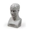 Large Antiqued Ceramic Phrenology Head -Home Decor Store large antiqued ceramic phrenology head p2778 79728 image
