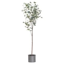 HI Large Eucalyptus Tree In Metallic Pot
