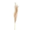 HI Large Faux Pampas Grass Stem - Beige -Home Decor Store large faux pampas grass stem beige p4481 102378 image