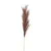 HI Large Faux Pampas Gress Stem - Taupe