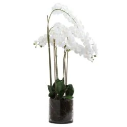 Large White Orchid In Glass Pot