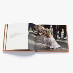 Magnum Dogs - Coffee Table Book 5 Magnum Dogs - Coffee Table Book -Home Decor Store magnum dogs coffee table book p3238 82707 image