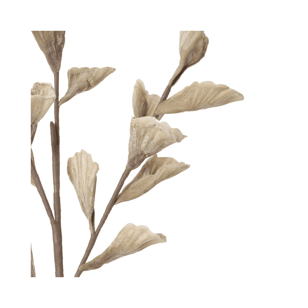 Multi Stem Flower Cream - 117cm 4 Multi Stem Flower Cream - 117cm - Image 2