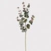 Natural Blush Eucalyptus Spray -Home Decor Store natural blush eucalyptus spray p5418 109989 image