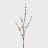 Natural Pussy Willow Stem With Leaves -Home Decor Store natural pussy willow stem with leaves p9539 140571 image