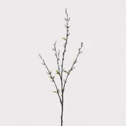 Natural Pussy Willow Stem With Leaves