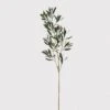 Olive Branch - Single Stem -Home Decor Store olive branch single stem p5253 109364 image