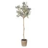 Olive Tree In Pot -Home Decor Store olive tree in pot p5254 109366 image