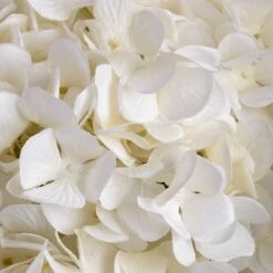 Oversized White Hydrangea -Home Decor Store oversized white hydrangea p1048 1693 image