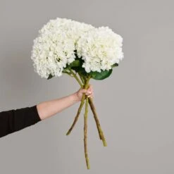 Oversized White Hydrangea