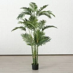Palm Plant 165cm