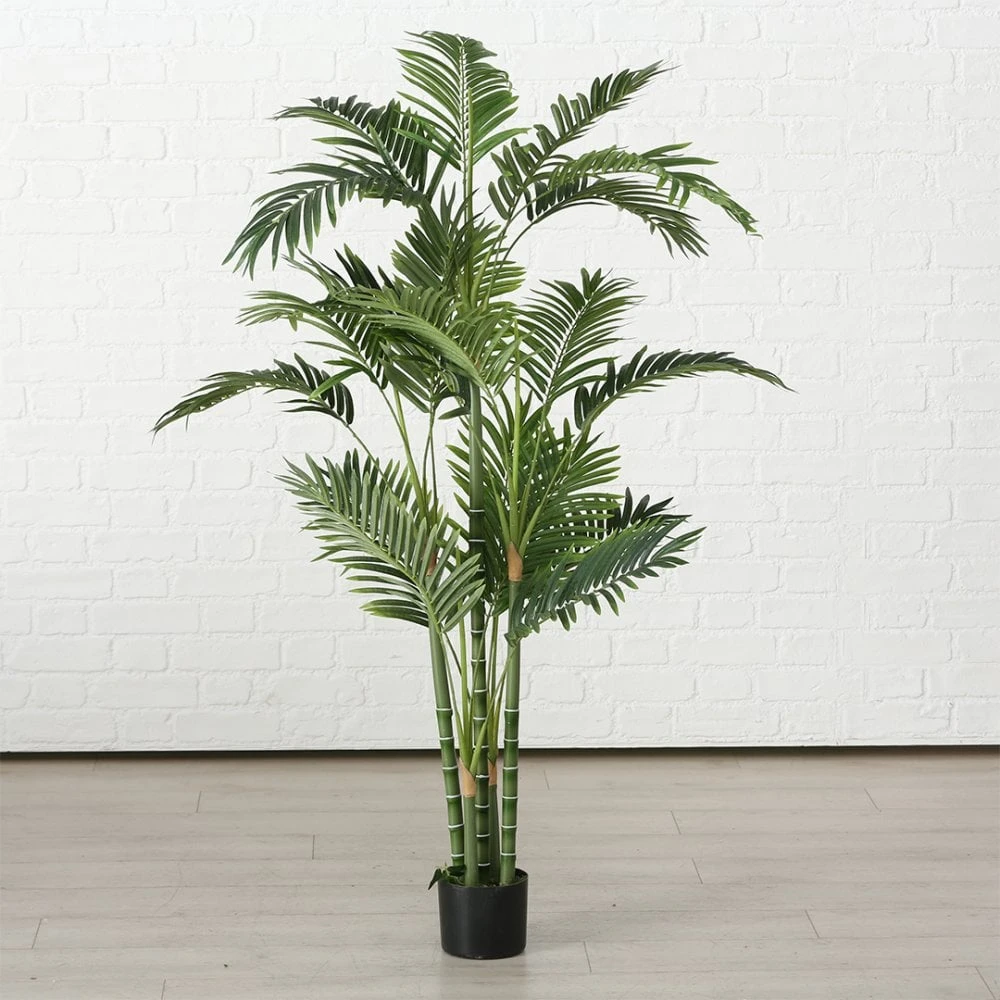 Palm Plant 165cm 3 Palm Plant 165cm