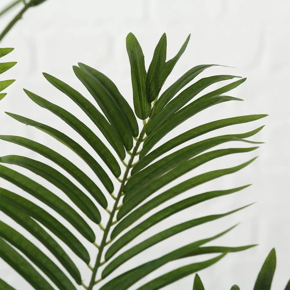 Palm Plant 165cm 4 Palm Plant 165cm - Image 2