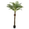 Palm Tree In Pot 1 Palm Tree In Pot -Home Decor Store palm tree in pot p7800 128088 image