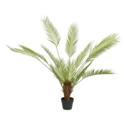Palmtree In Pot