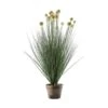 Potted Ball Grass With Yellow Heads -Home Decor Store potted ball grass with yellow heads p3641 86075 image