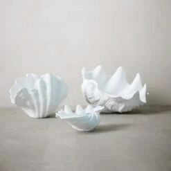 Shell Ornament - White 9 Shell Ornament - White -Home Decor Store shell ornament white p7681 123906 image