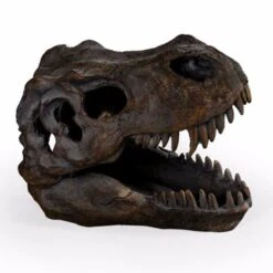 T-Rex Skull Table Ornament