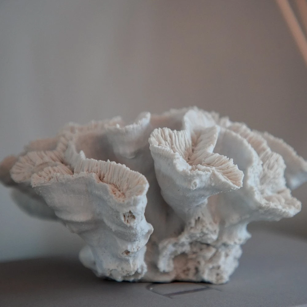 White Faux Coral 6 White Faux Coral - Image 4