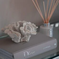 White Faux Coral 13 White Faux Coral -Home Decor Store white faux coral p2502 103056 image