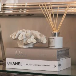 White Faux Coral 15 White Faux Coral -Home Decor Store white faux coral p2502 103058 image