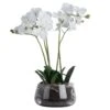 White Orchid Glass Pot -Home Decor Store white orchid glass pot p8838 134146 image