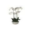 White Orchid In Stone Bowl -Home Decor Store white orchid in stone bowl p2692 78215 image