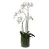 White Orchid Phalaenopsis Plant -Home Decor Store white orchid phalaenopsis plant p215 492 image
