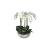 White Orchid Plant In Pot 1 White Orchid Plant In Pot -Home Decor Store white orchid plant in pot p2685 78208 image