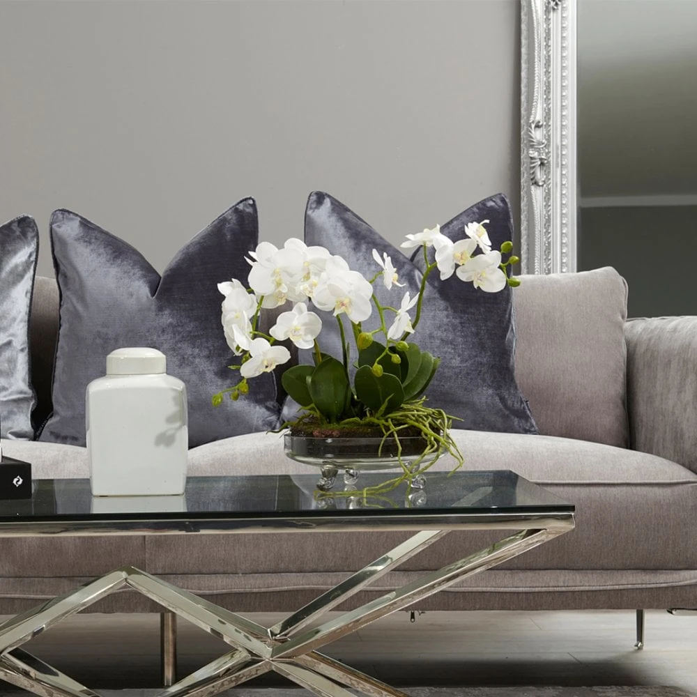 White Small Orchid Phalaenopsis Plant 4 White Small Orchid Phalaenopsis Plant - Image 2