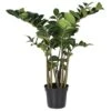 Zamioculcus Plant In Black Pot 2 Zamioculcus Plant In Black Pot -Home Decor Store zamioculcus plant in black pot p8738 133859 image